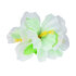 Haaraccessoire Hibiscus 6 kleuren ass._