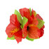 Haaraccessoire Hibiscus 6 kleuren ass._