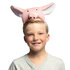 Diadeem Varken_