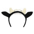 Diadeem Koe_