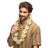 Hawa√Økrans Hibiscus_