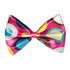 Vlinderstrik Clown_