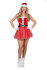 Kerstvrouw tule_
