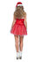Kerstvrouw tule_